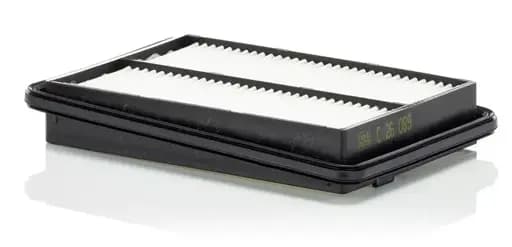 MANN Hava Filtresi 165464BD0C resmi