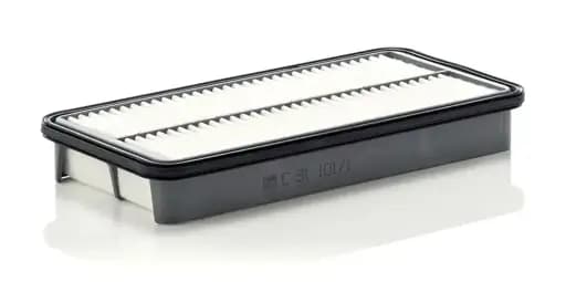 MANN C31101/1 Hava Filtresi resmi
