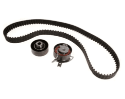 INA 530048910 | Land Rover Freelander 2 Dizel Triger Seti